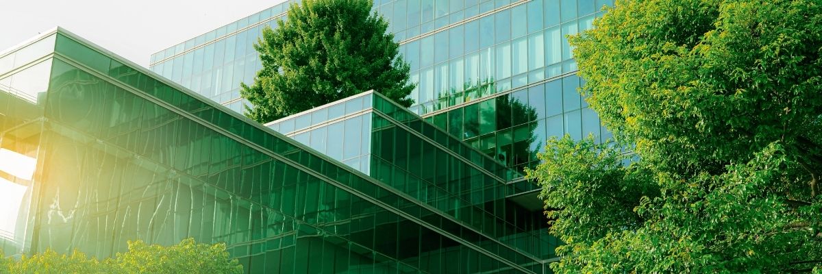 Eko-Sürdürülebilir Ofis Nasıl Kurulur