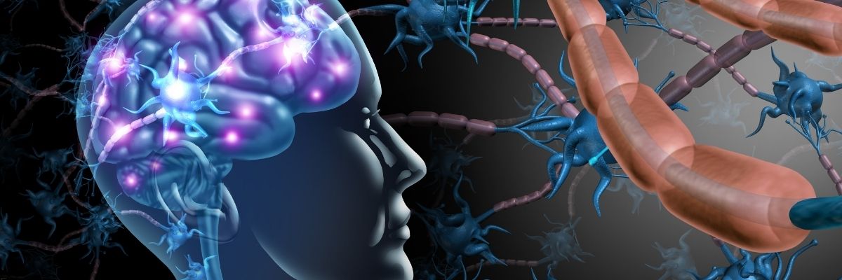 İş Hayatında Beyin Sağlığı